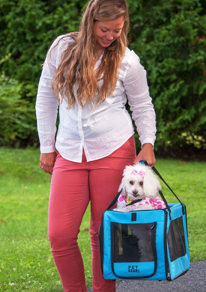 Signature Pet Car Seat & Carrier for Cats and Dogs up to 20-Pounds, Aqua